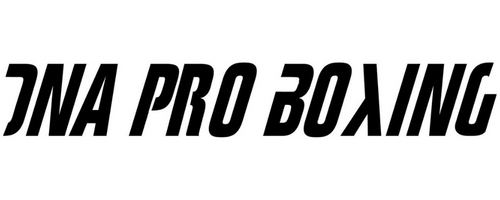 DNA pro boxing